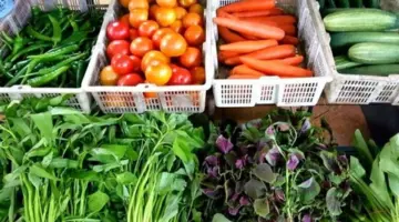 قفزة في أسعار الخضراوات اليوم، ارتفاع الطماطم 5.5 جنيه والجزر 7 والفلفل الألوان 20 جنيهًا